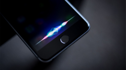 Apple, Siri'ye Yeni Özellikler Ekleyecek!