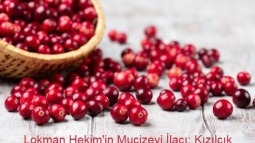 Lokman Hekim'in Mucizevi İlacı: Kızılcık Faydaları